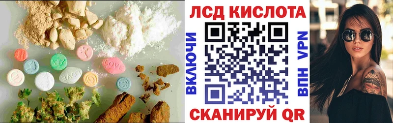 kraken как войти  как найти наркотики  Щигры  LSD-25 экстази кислота 