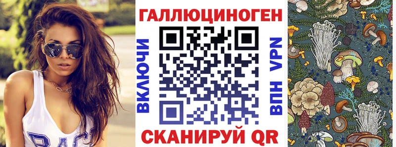 Псилоцибиновые грибы ЛСД  MEGA tor  Щигры  купить наркотики сайты 